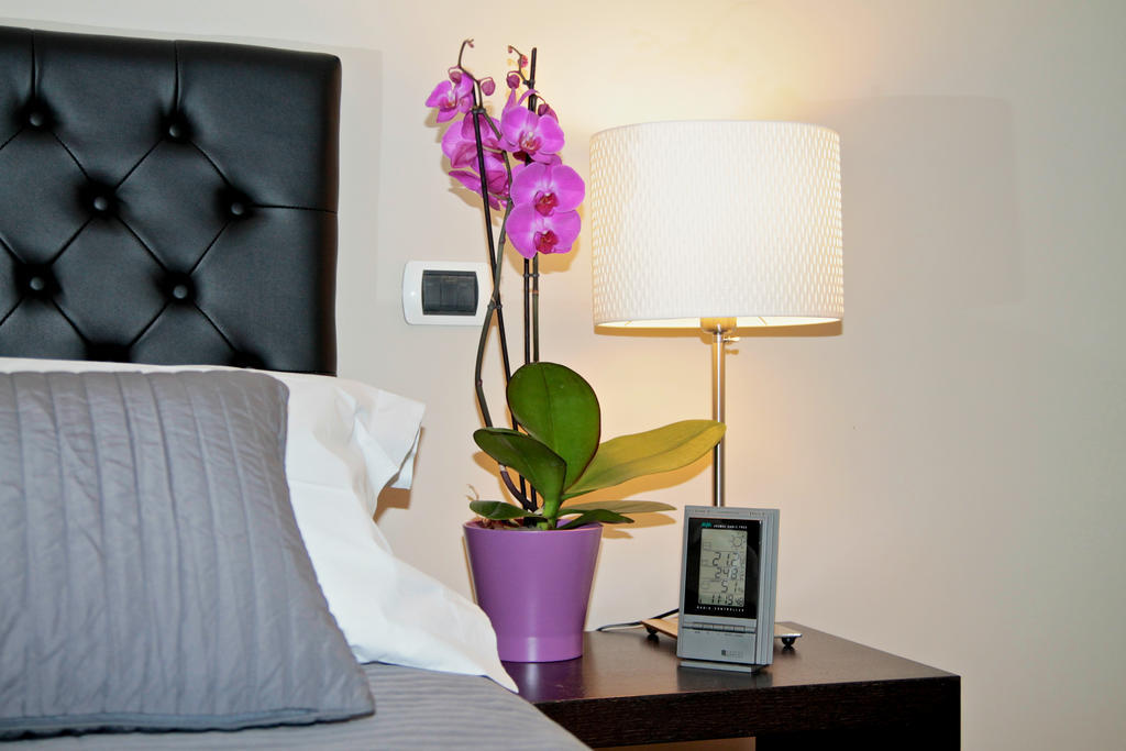Residenza Mazzini Bed and Breakfast Rom Rum bild